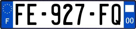 FE-927-FQ