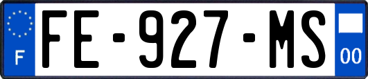 FE-927-MS