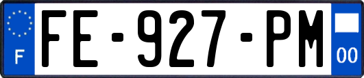 FE-927-PM