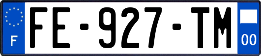 FE-927-TM