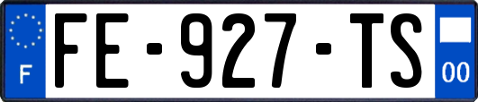 FE-927-TS