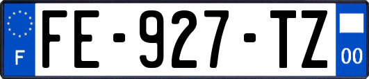 FE-927-TZ