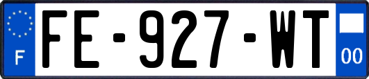FE-927-WT