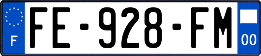 FE-928-FM
