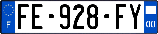 FE-928-FY