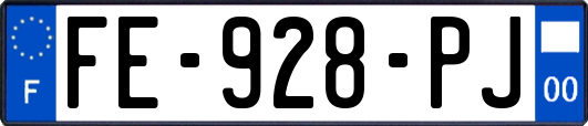 FE-928-PJ