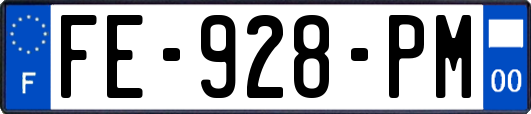 FE-928-PM