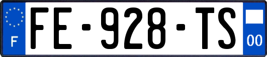 FE-928-TS