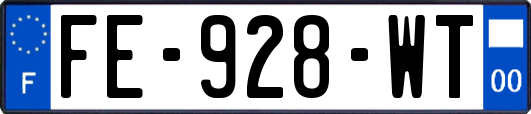 FE-928-WT
