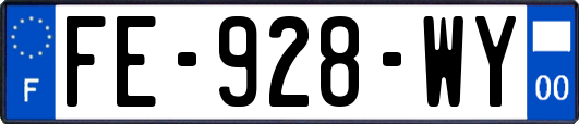 FE-928-WY