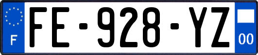 FE-928-YZ