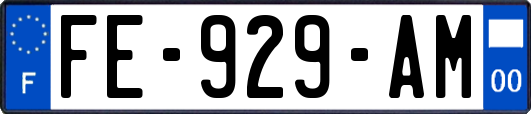 FE-929-AM