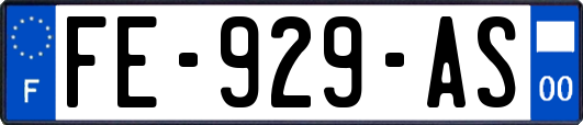 FE-929-AS