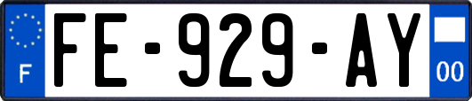 FE-929-AY