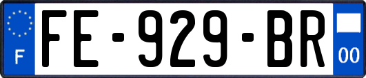 FE-929-BR