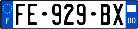 FE-929-BX