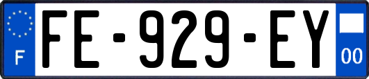 FE-929-EY