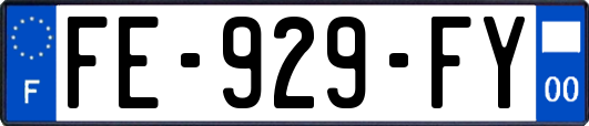 FE-929-FY