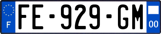 FE-929-GM