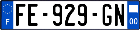 FE-929-GN