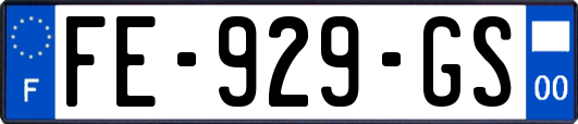 FE-929-GS