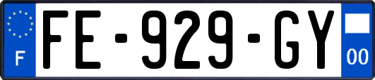 FE-929-GY