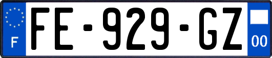 FE-929-GZ