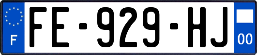FE-929-HJ