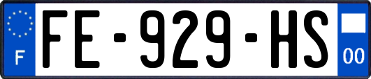 FE-929-HS