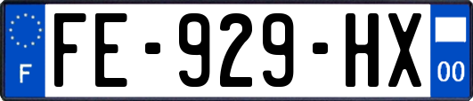 FE-929-HX