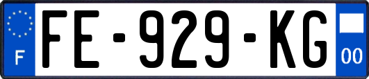 FE-929-KG