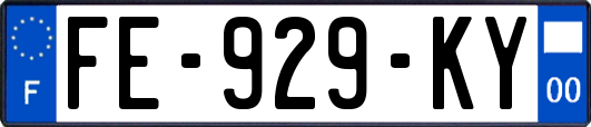 FE-929-KY