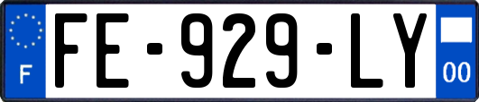 FE-929-LY