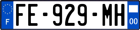 FE-929-MH