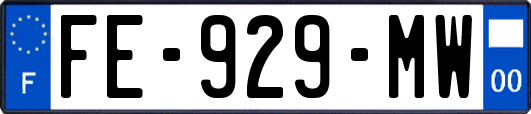FE-929-MW