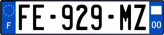 FE-929-MZ
