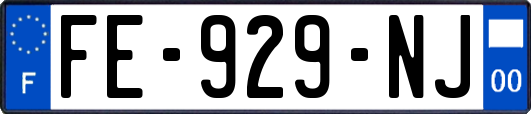 FE-929-NJ