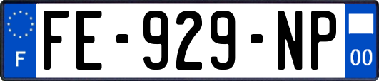 FE-929-NP