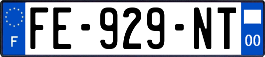 FE-929-NT