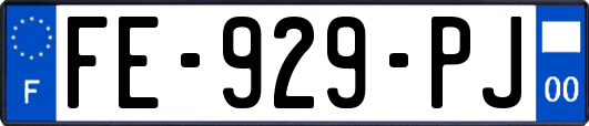 FE-929-PJ