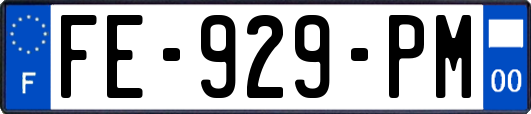 FE-929-PM