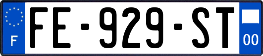 FE-929-ST