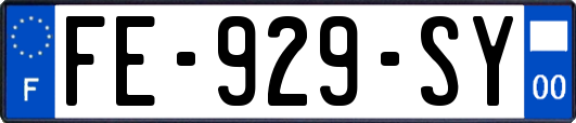 FE-929-SY