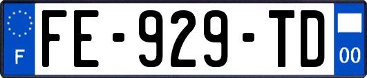 FE-929-TD