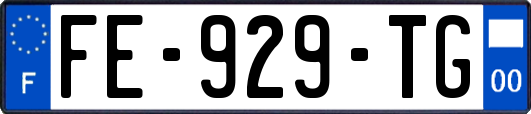 FE-929-TG