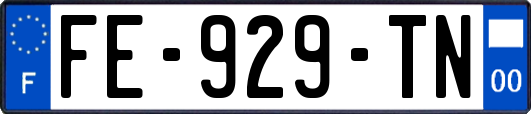 FE-929-TN