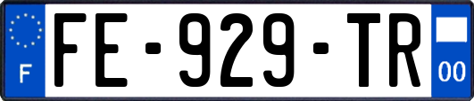 FE-929-TR