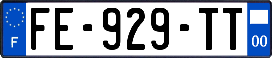 FE-929-TT