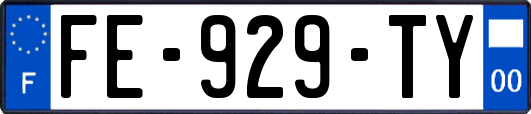 FE-929-TY