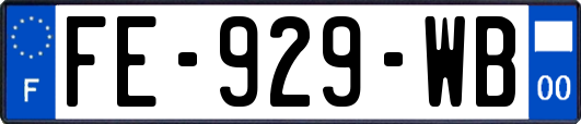 FE-929-WB
